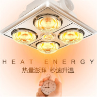 德力西(DELIXI)DGY-H01(D) 浴霸灯取暖器适用于传统吊顶300*300