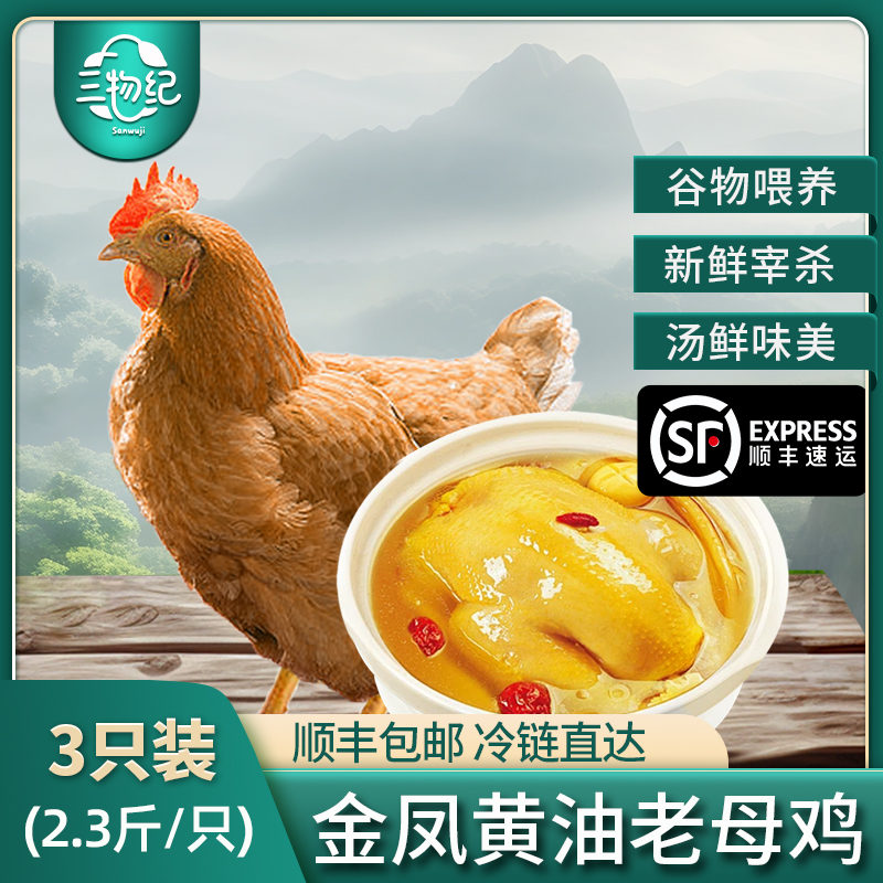 【苏鲜生推荐】三物纪 皖南金凤黄油老母鸡2.3-2.6斤/只 3只装 新鲜现杀冷冻农家慢养走地鸡