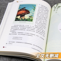 八年级上-人教版]红星照耀中国 [正版]昆虫记法布尔原著初中生八年级上册名著阅读人民教育出版社红星照耀中国西行漫记可搭长