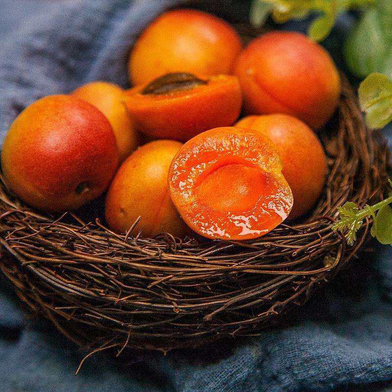 新疆阿克苏小红杏 2斤左右家庭装 新鲜杏子 新疆水果 阿克苏当季吊干