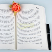 [正版]北齐神武帝高欢 中国历代帝王高欢传记人物生平 李志国著中国书籍出版社
