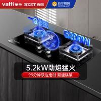华帝百得QE55煤气灶双灶家用燃气灶台灶具大火力定时猛火炉 液化气