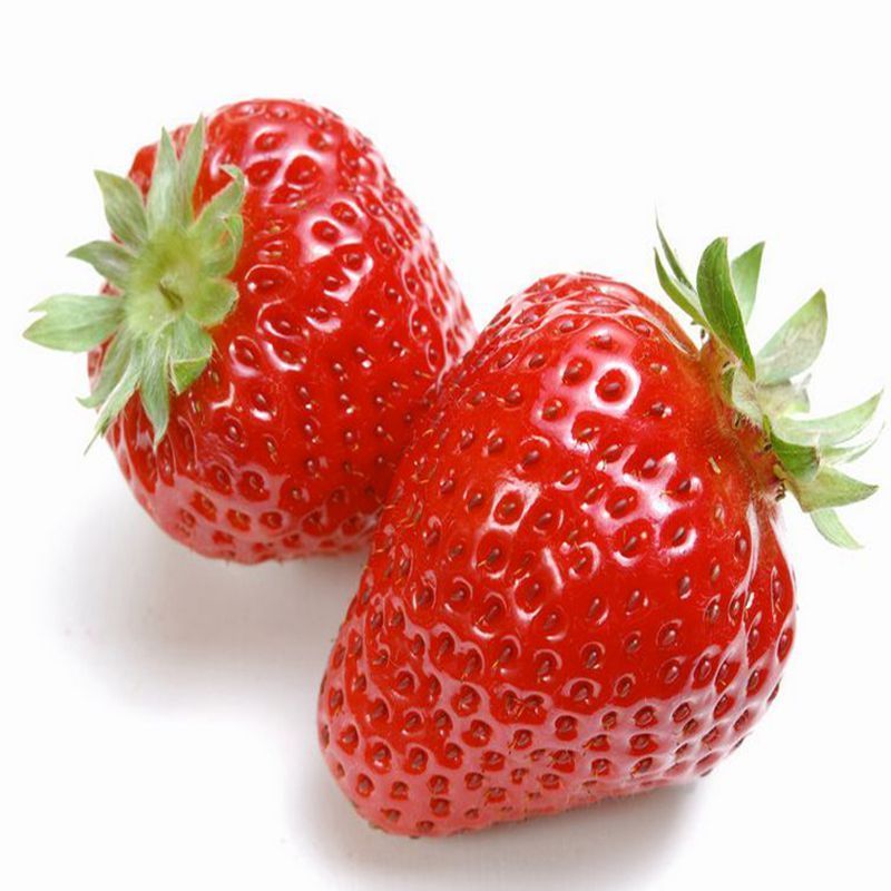 四季播家庭阳台食用奶油莓种子农家蔬菜种子结果田野牛奶莓籽