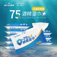 海氏海诺 75°消毒酒精湿巾便携小包10抽/包*10包 手部皮肤清洁出游随身便携小包装