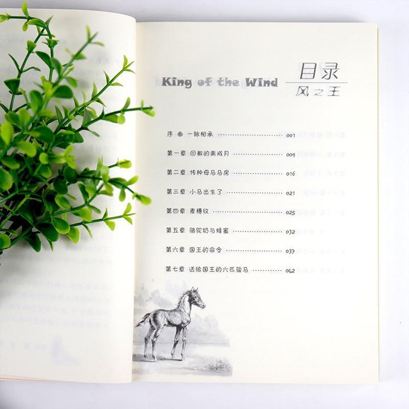 风之王[新蕾出版社] [正版]风之王课外书新蕾出版社国际大奖小说升级版非注音版赵水芬译玛格莉特亨利著小学生3456三四五