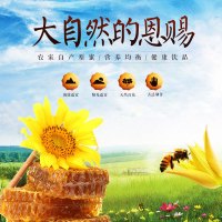 【中华特色】江华馆 野生纯蜂蜜500g装