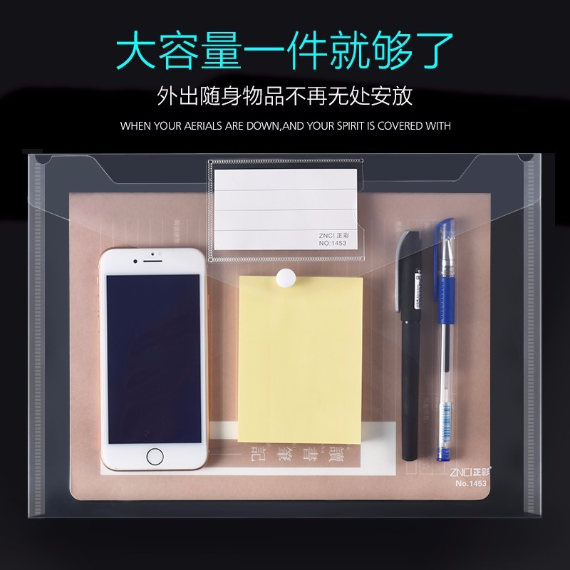 递乐(DiLe)标签按扣文件袋1453白色单个装-W