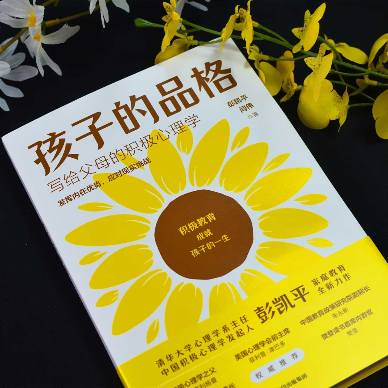 [正版]央视网樊登 孩子的品格 写给父母的积极心理学 彭凯平等著俞敏洪育儿书籍育儿百科正面管教好妈妈胜过好老师父母的语高清大图
