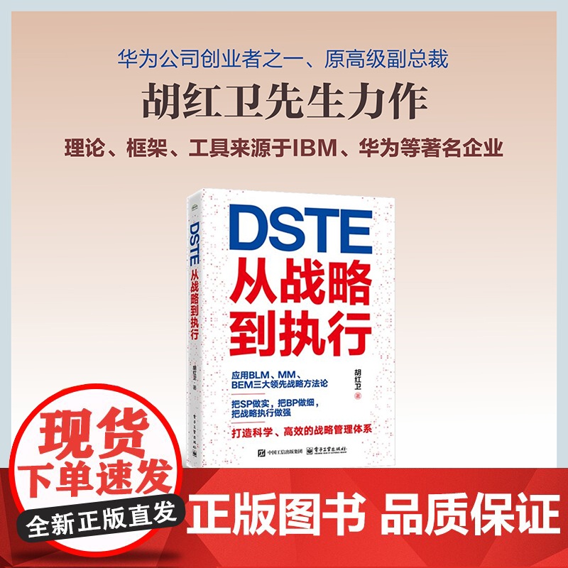 店 DSTE 从战略到执行 胡红卫 DSTE管理变革 企业战略管理理论实践 BLM MM BEM三大领先战略方法论应用高清大图