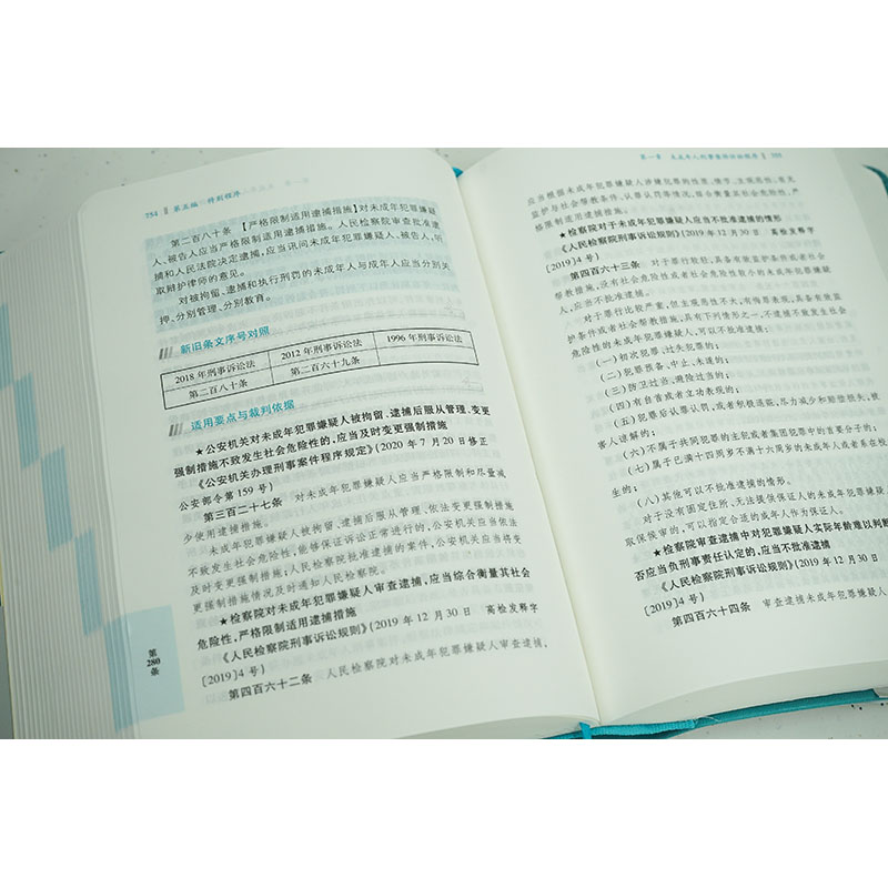 [正版]2023 刑事诉讼法适用要点与裁判依据(类案检索:指导案例+典型案例)郝银钟罗书平 刑事办案实用工具书刑事法治宣高清大图