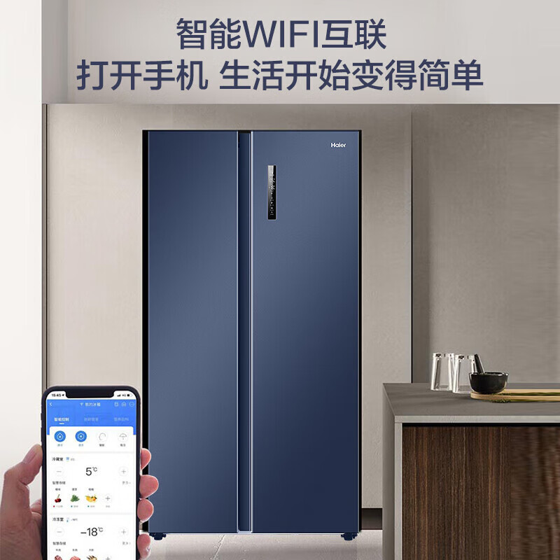 海尔(Haier)冰箱 对开门一级能效双变频全空间冷无霜节能电冰箱 601升星石蓝海尔冰箱 BCD-601WGHSS19