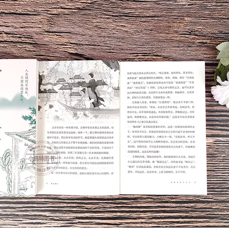 [官方正版 单册]苏东坡传 [正版] 苏东坡传 一蓑烟雨任平生讲述苏东坡的生平事迹苏轼历史人物书名人中国古代诗人传记林语高清大图