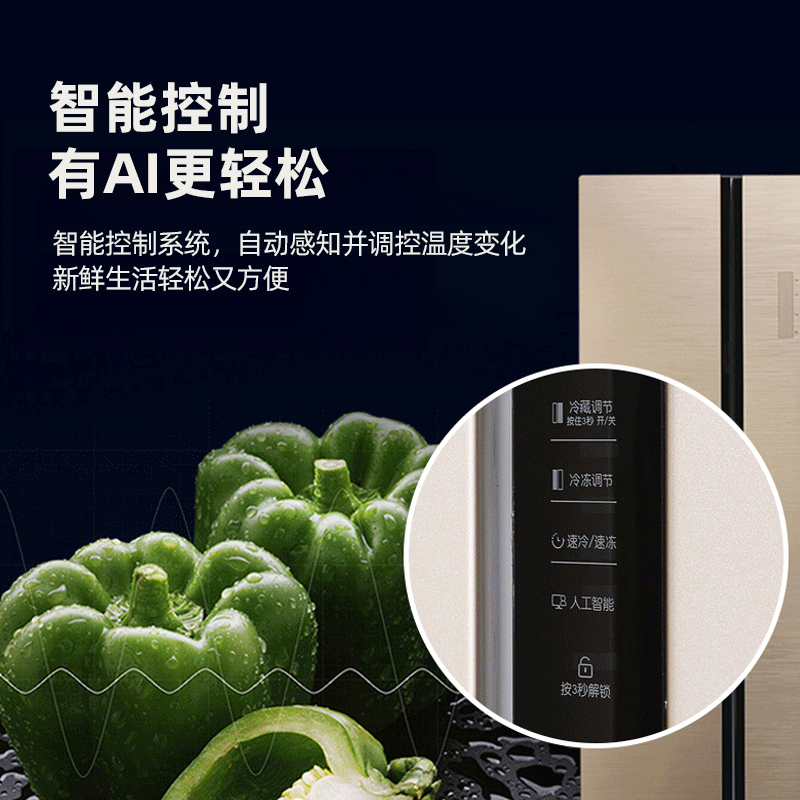 扎努西·伊莱克斯/ZANUSSI ZSE5201LPA 大容量520L对开门冰箱 一级变频 风冷无霜 经典设计