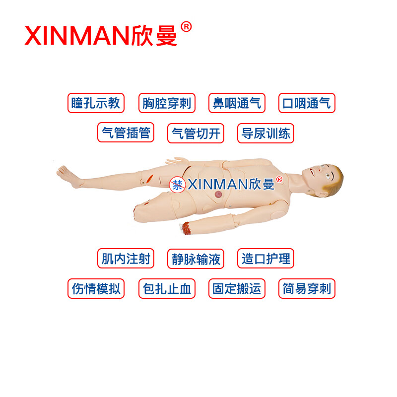 欣曼科教 开放性伤口止血包扎模拟人 战创伤救治技术训练模型 教学实验用XM-ZXTE高清大图
