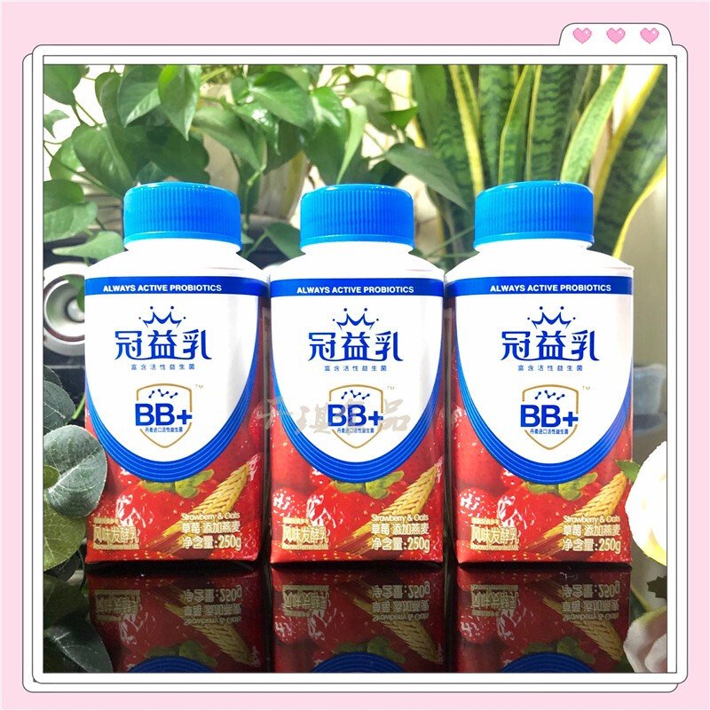 蒙牛 酸 奶(低温)