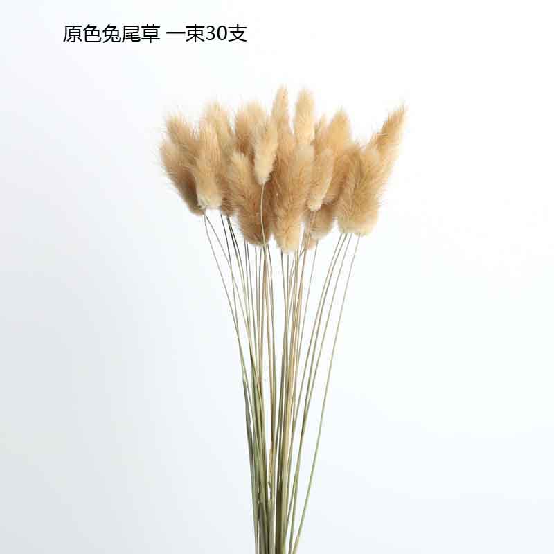 敬平 Jing Ping 花瓶 花艺敬平干花花束向日葵尤加利棉花玫瑰雏菊兔尾草diy插花花材家居装饰原色兔尾草 30支 干花包 价格图片品牌报价 苏宁易购梦舟家居专营店