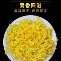 陆卢缘 金丝皇菊花茶一朵一杯菊花枸杞茶清火黄山贡菊胎菊花草茶
