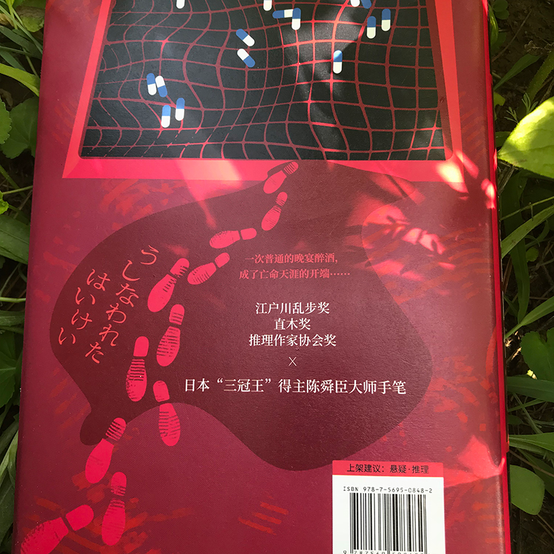 醉染图书失落的回忆9787569508482高清大图