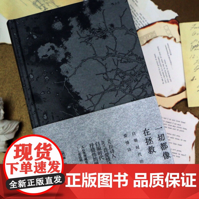 一切都像在拯救叶赛宁 江苏凤凰文艺出版社 后浪正版书籍高清大图