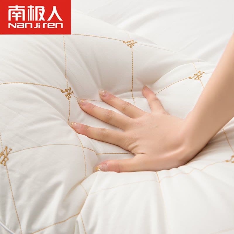 一对装]刺绣枕头成人枕头芯枕双单人酒店枕芯图片