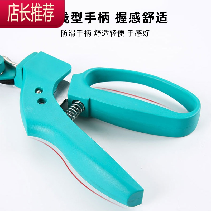剪草大剪刀草坪剪器园林园艺修枝剪粗枝剪花艺园丁锋利JING PING