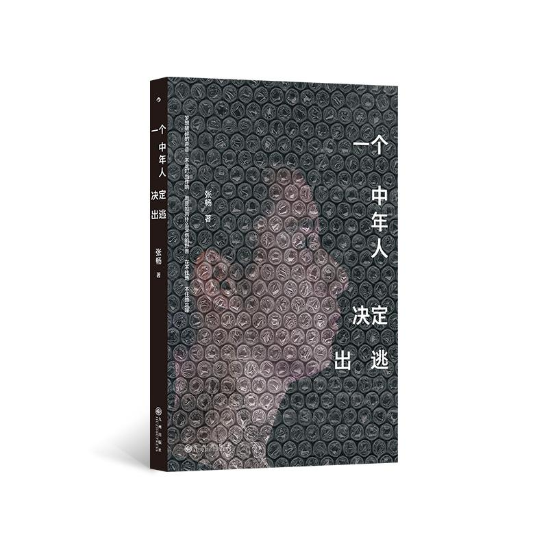正版新书]一个中年人决定出逃张畅 著9787522534183高清大图