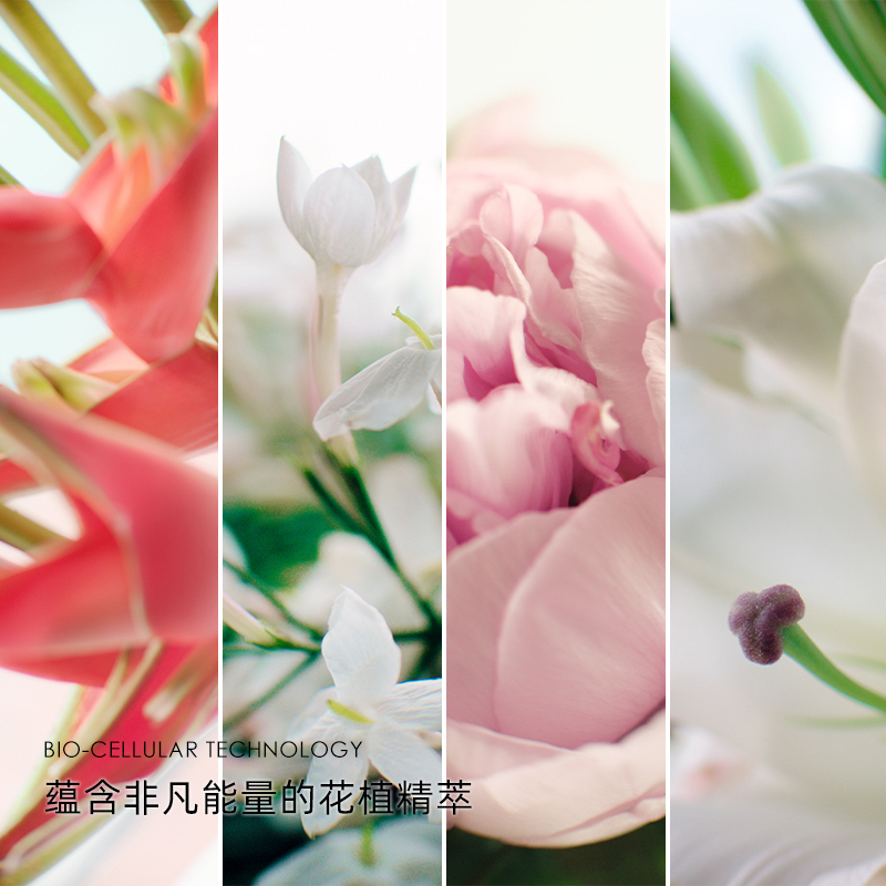[国内专柜版]迪奥肌活蕴能精华5ml*3