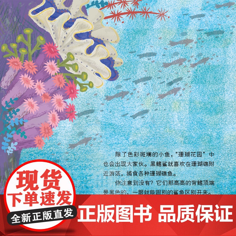 我的珊瑚礁 自然DIY 科普绘本 亲子手工 科普读物 自然科学 海洋科普 少年儿童出版社高清大图