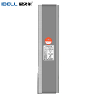 爱贝尔(IBELL)JSQ24-A智能变频四季自适恒温 家用12升天然气 燃气热水器