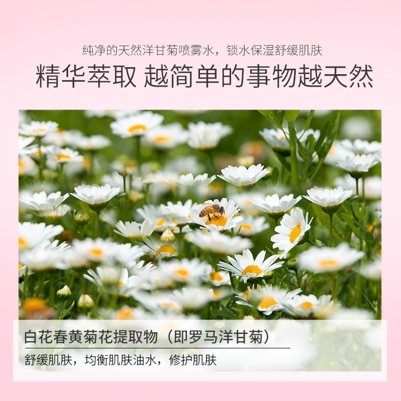 采词洋甘菊保湿喷雾水爽肤补水保湿喷雾原液清爽不油腻女生学生党 采词洋甘菊喷雾200ML