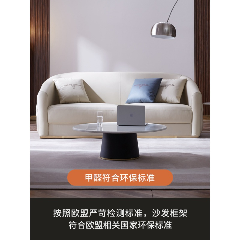 森美人后现代轻奢沙发组合客厅2025年新款三人位意大利港式风格家具
