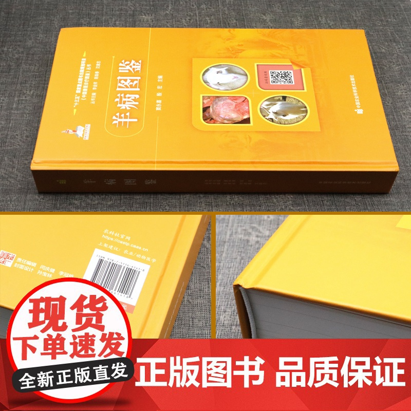 羊病图鉴 羊病鉴别诊断技术大全 图解羊瘟羊疫羊传染病代谢病寄生虫病等 羊病控制羊场生物安全体系建立 羊病临床症状剖检病理