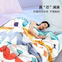 百丽丝家纺印花抗菌夏被单人双人可水洗抗菌科技夏凉被薄被子
