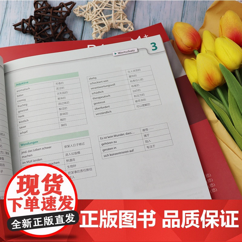 走进德国B1+ 学生用书+练习手册+教师手册 3本套 外语教学与研究出版社 欧标德语教程 学习教材大学德语教程 德语学习高清大图