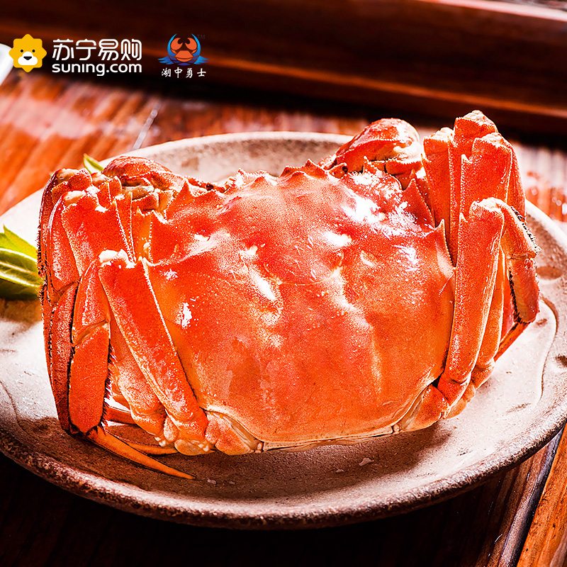 湖中勇士[鲜活现货]湖中勇士大闸蟹礼盒 公3.8-4.2两/只 母2.8-3.2两/只 4对装高清大图