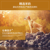宠物羊奶粉幼犬泰迪比熊斗牛金毛幼猫奶粉通用狗狗奶粉300g