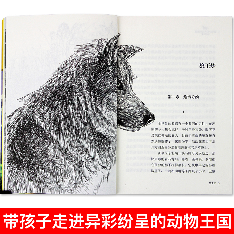 [套装6册]沈石溪动物小说 [正版]书店狼王梦 升级版 动物小说大王沈石溪品藏书系 小学三四五六年级课外阅读书籍动物小说
