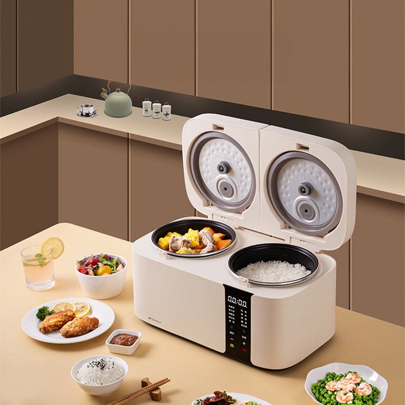 山水(SANSUI) 多功能双胆饭煲S-FB1207 左2L右2L
