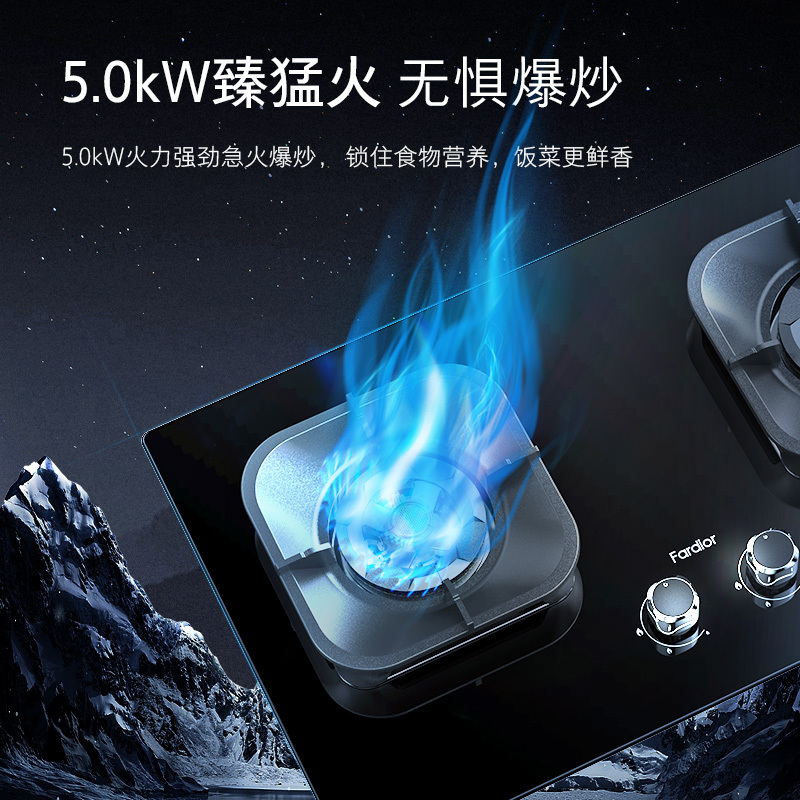 法迪欧5.0kW一级能效燃气灶JZT-2B601