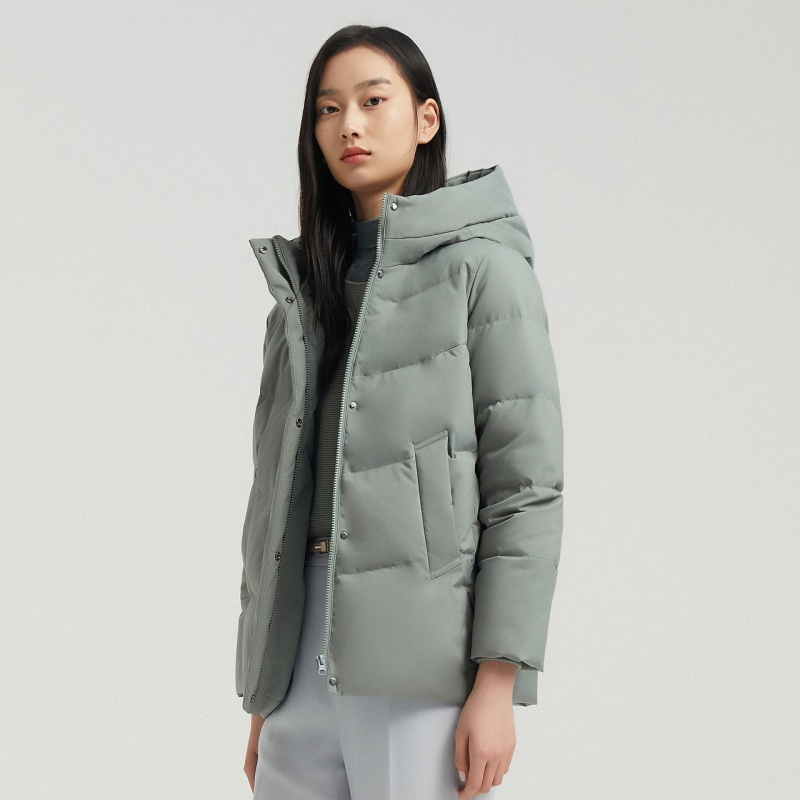 波司登新款女装妈妈装中老年大码短款冬季简约羽绒服b00145968