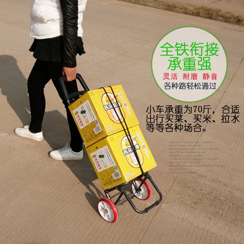 轻便买菜车折叠家用购物小拉车菜篮便携老年人超市拖车手拉杆推车 三维工匠 双轴承轮玲珑百合家用拖车高清大图