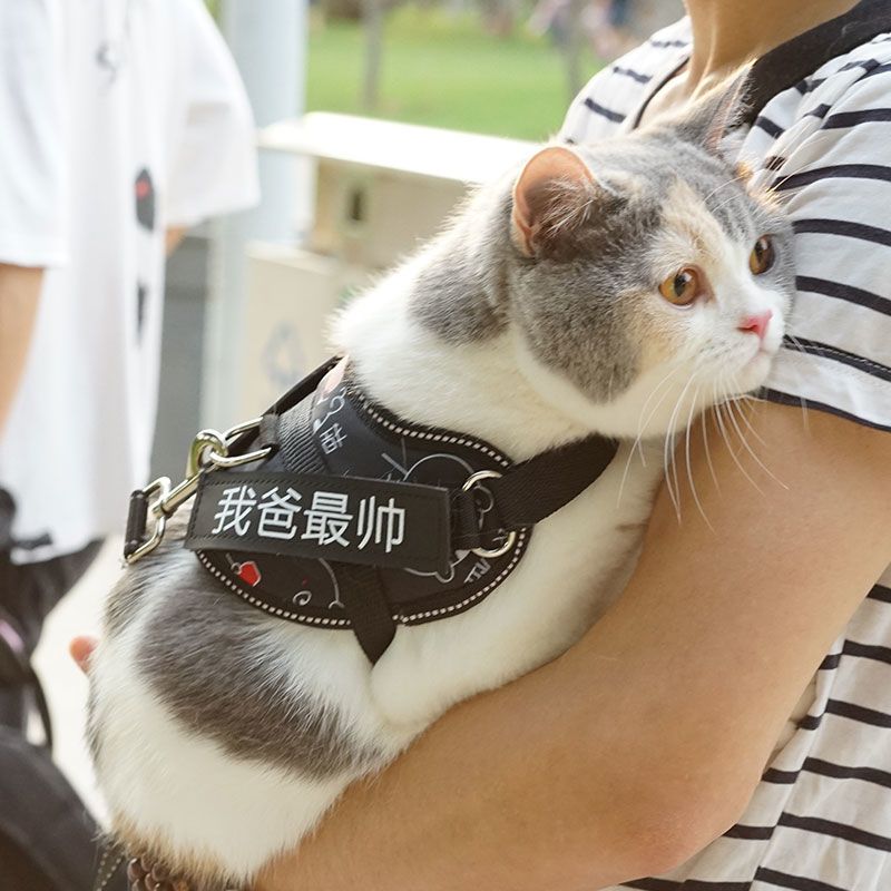 荧光绿+1.5米绳+字帖*2 S(胸围25-30cm-4斤内) 猫咪牵引绳防挣脱逃脱外出专用猫链子背心式溜猫绳栓遛小幼猫