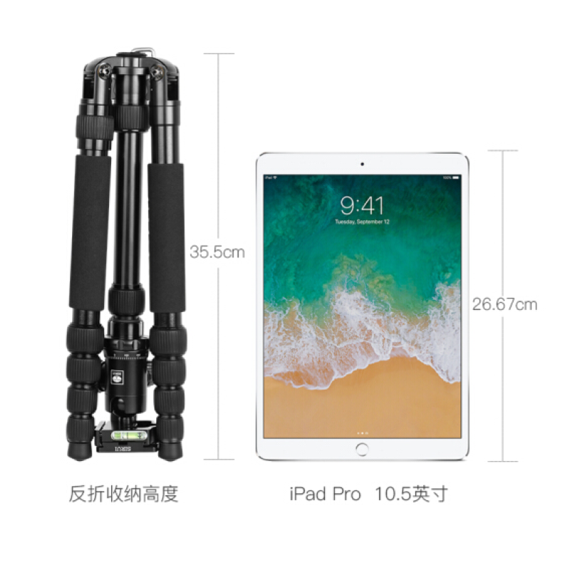 思锐(SIRUI)三脚架E1005A+G12 含云台佳能尼康单反相机三角架铝合金 反折单反相机三脚架 便携旅行