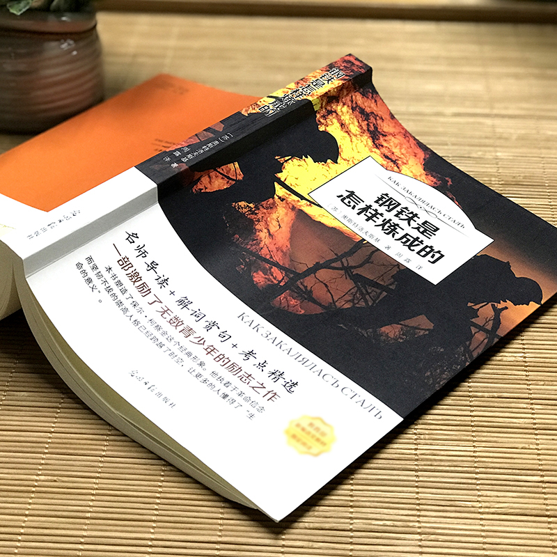 [正版]钢铁是怎样炼成的初中生原着完整版原版人民教育出版社初二八年级下册必读课外阅读书籍人教版文学名著怎么样练成的8年级高清大图