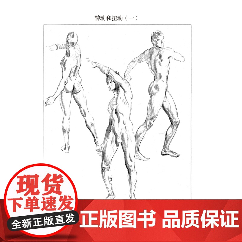 正版 路米斯经典美术课-人体素描 安德鲁路米斯 西方经典美术技法译丛 西方人体静物写生素描绘画美术艺术教程 上海人民美术高清大图