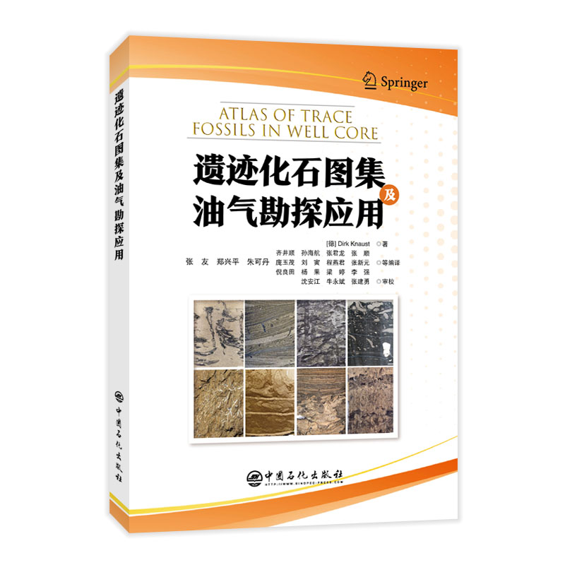 正版新书]遗迹化石图集及油气勘探应用(德)德克·克努斯特9787511高清大图