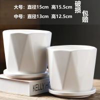 中号 花盆陶瓷特价清仓中号带托盘创意白色绿萝欧式简约超大桌面 两个纯白V纹亏本