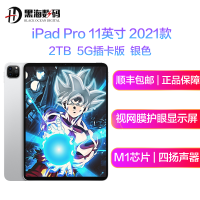 苹果 Apple 2021新款 iPad Pro 11英寸 2T 5G插卡版 苹果平板电脑 MHWR3 银色 海外版