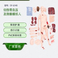 恒则卫勤 OF-G145全功能急救护理创伤止血包扎技术模拟人现场处理培训器材