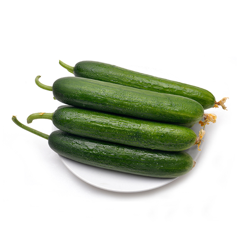 山东水果黄瓜 新鲜蔬菜 5斤装